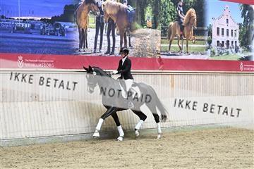 182241_kbb_01_Z094528.JPG