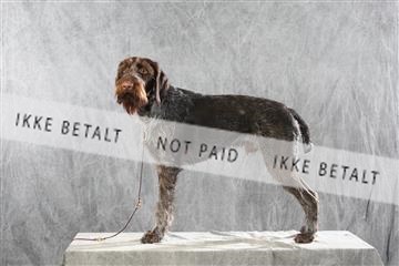 128239_le_ 06_0021.JPG