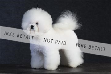 132082_le_ 01_IMG_0195.JPG