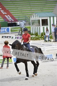144462_bc_05__BC11183.JPG