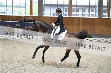182176_kbb_01_Z094658.JPG