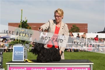 130370_se_02_IMG_6520.JPG