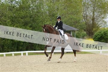 139835_sg_01_IMG_7763.JPG