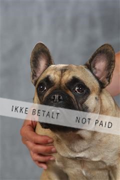 130054_le_ 01_0269.JPG