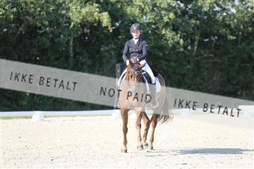 163526_mlm_01_IMG_0895.JPG