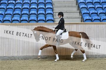 139327_abo_01__AB10376.JPG