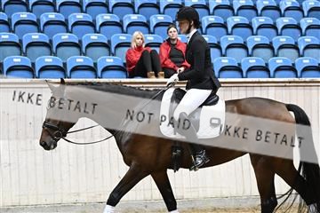 182241_kbb_01_Z093296.JPG