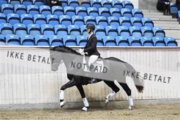 182241_kbb_01_Z094094.JPG