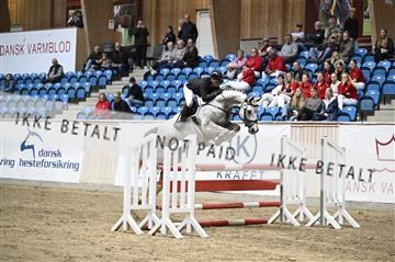 181957_kbb_03_Z091432.JPG