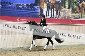 182241_kbb_01_Z094062.JPG