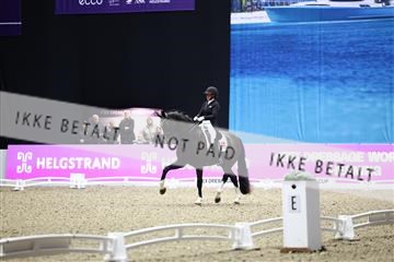 182194_avh_07_4317.JPG