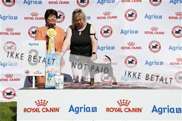 181564_ch_01__62_0203.JPG