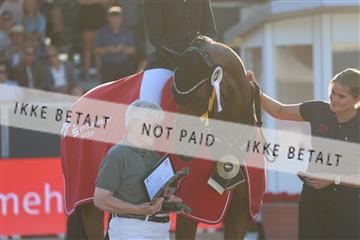 181799_BC_06_00863.JPG