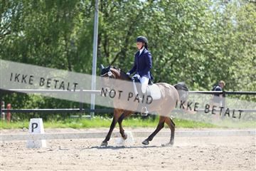 168732_mtp_01_3M5A7553.JPG