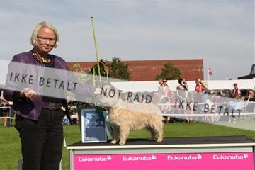 130370_se_02_IMG_6514.JPG