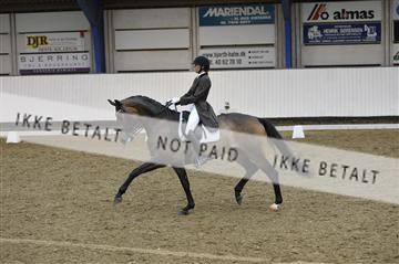 140040_abo_02__AB19474.JPG