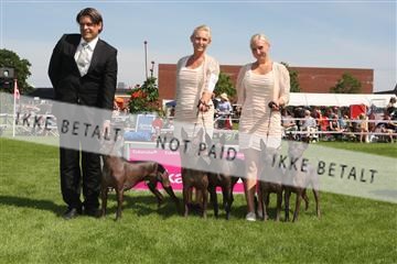 130370_se_02_IMG_6274.JPG