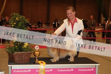 124188 _tl_02_IMG_9208.JPG