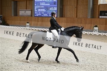 182176_kbb_01_Z092750.JPG