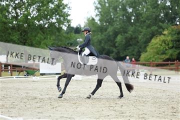 181923_mtp_01_R62_6974.JPG