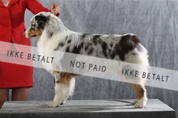 129608_le_ 01_0828.JPG