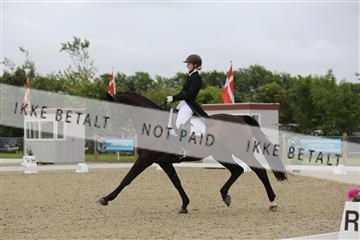 156196_nn_01_IMG_4960.JPG