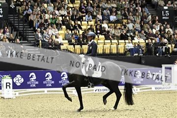 182194_kbb_03_Z092614.JPG