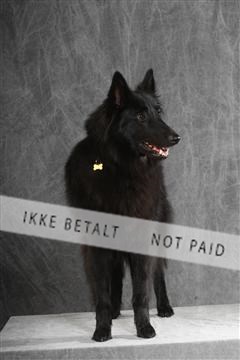 130054_le_ 01_0092.JPG