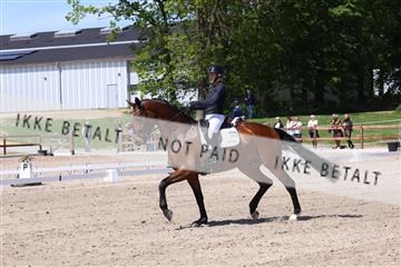 181449_bc_01R62_5560.JPG