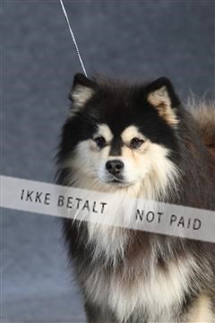 132082_le_ 01_IMG_1368.JPG