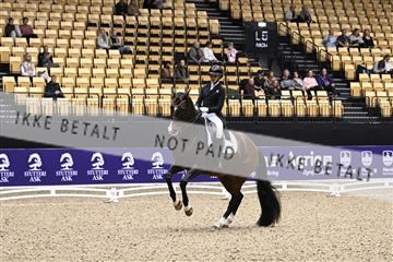 182194_kbb_03_Z099757.JPG