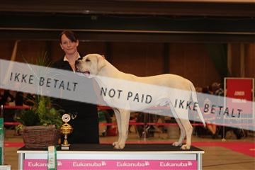 124188 _tl_02_IMG_9518.JPG