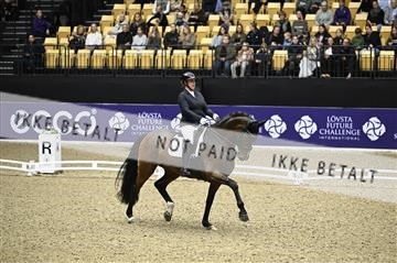 182194_kbb_02_Z098714.JPG
