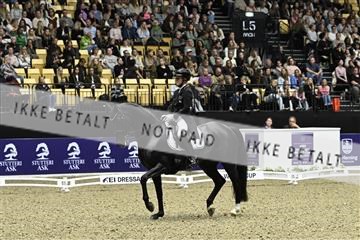 182194_kbb_03_Z092323.JPG