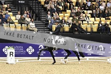 182194_kbb_03_Z090880.JPG