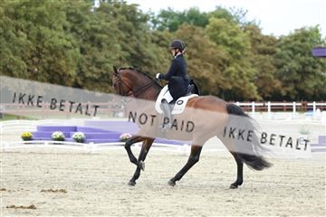 181923_mtp_04_R62_8876.JPG