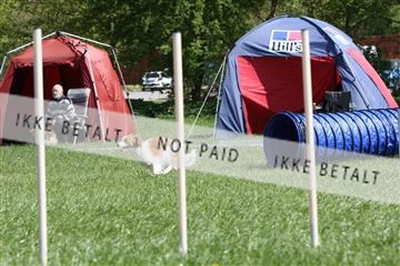 134871_ms_02_IMG_3018.JPG