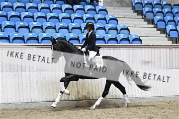 182241_kbb_01_Z093504.JPG