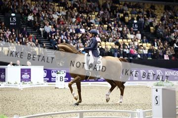 182194_avh_06_3427.JPG
