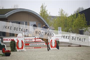 181332_kbb_02_6II5175.JPG