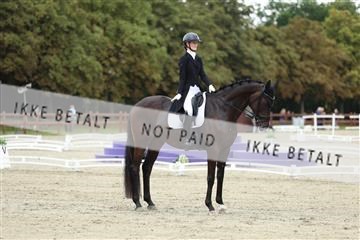 181923_mtp_03_R62_7429.JPG