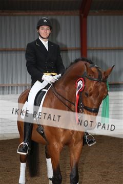 139835_sg_03_IMG_9215.JPG