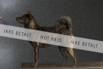 132082_le_ 01_IMG_0116.JPG