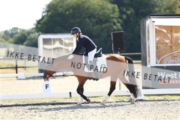 181894_mtp_02_R62_1890.JPG