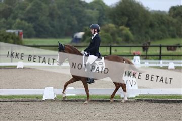 169445_mtp_01_3M5A2481.JPG