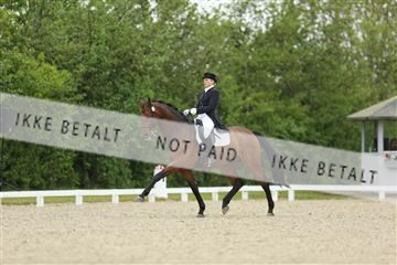 139835_sg_01_IMG_7564.JPG