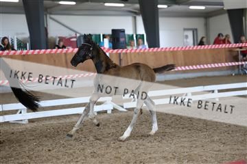 181756_mtp_03_R62_3148.JPG