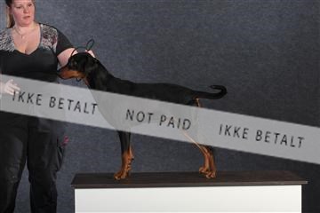 132082_le_ 01_IMG_0768.JPG