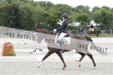 166078_rhj_01__J7R2898.JPG