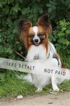 130370_se_01_IMG_5320.JPG